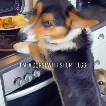 Teamwork makes a dream work😂❤️