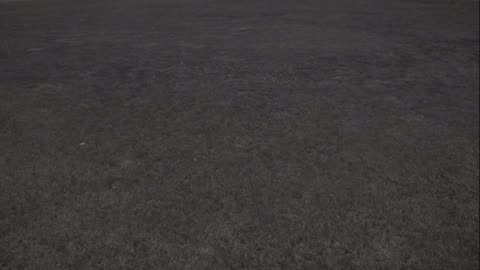 7231USCG00EastFrontHouseEgg_2021-01-05_18h49min32s247ms.mp4