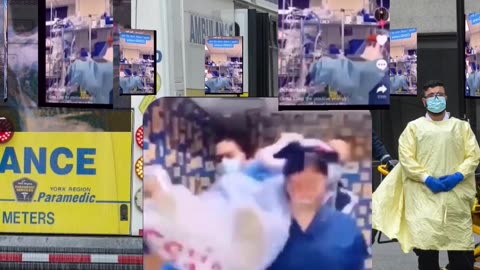 Never forget plandemic