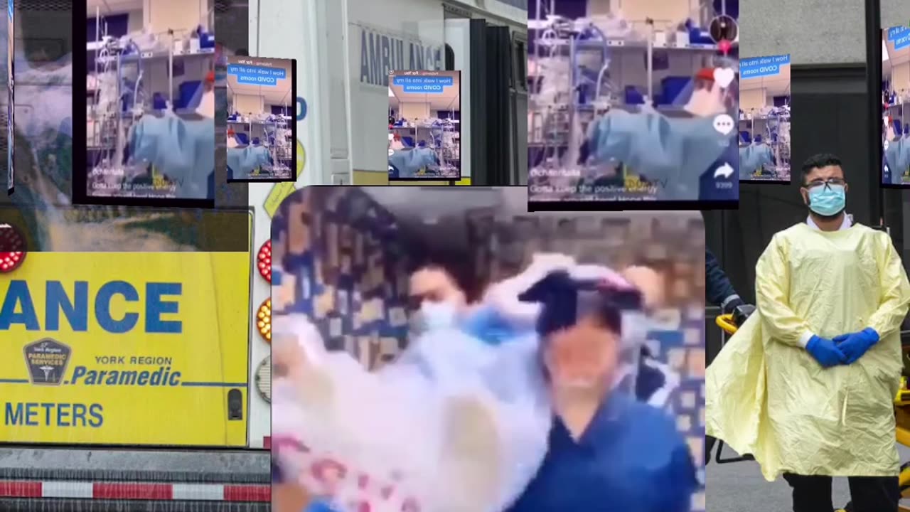 Never forget plandemic