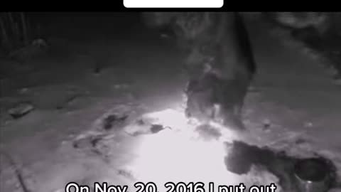 BIG FOOT CCTV REAL?