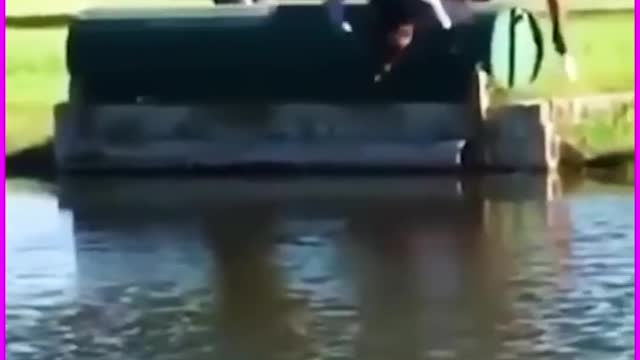 Fun falls