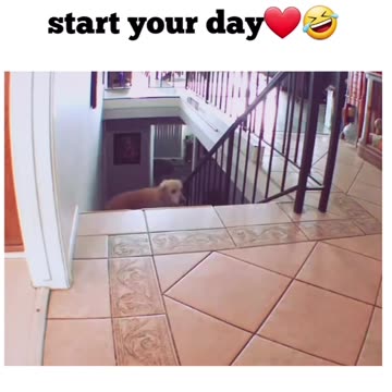 How to start your day ❤️😅