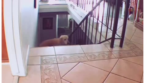 How to start your day ❤️😅