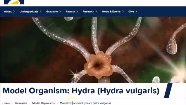 ARCHON INVASION, NWO PARASITES, EMERGENCY BROADCAST SYSTEM AND THE BIOLOGICAL APOCALYPSE (ZOMBIES)
