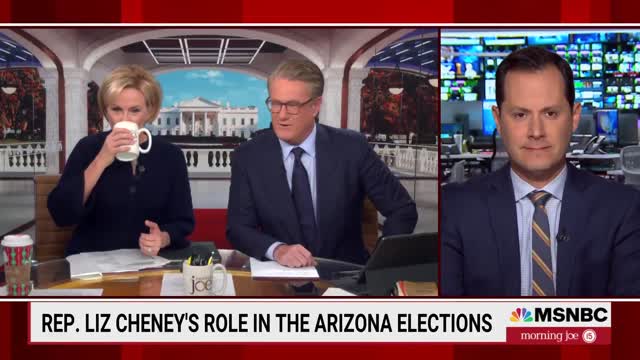 Liz Cheney Gets The Last Word In Arizona After Lake's Defeat