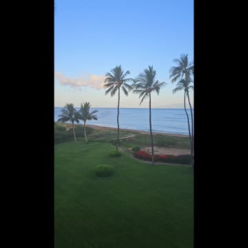 Birds singimg forth their Praises