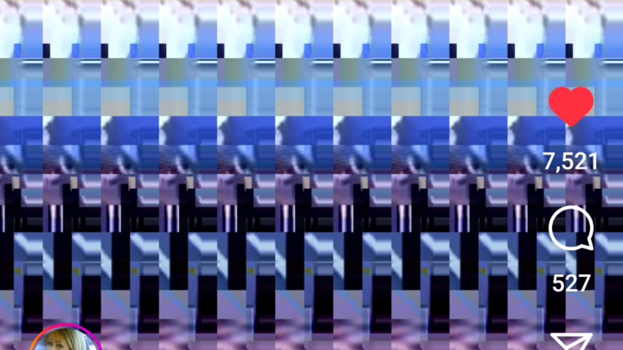 Found Chopped Up In A Suitcase