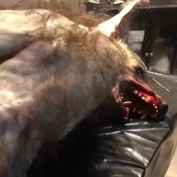 DUMBS - DEEP UNDERGROUND MILITARY BASE - THESE CREATURES ARE REAL - THOUGHTS?