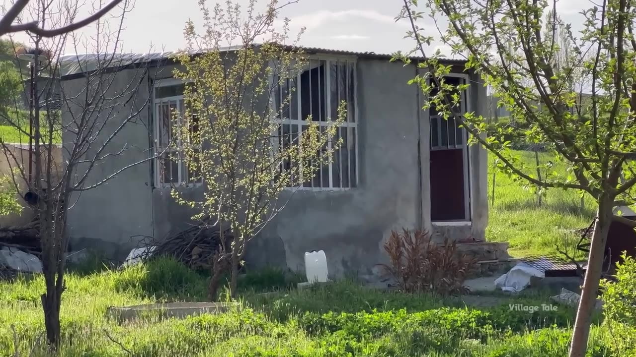 Mountain plants of western Iran in spring | village life in Iran