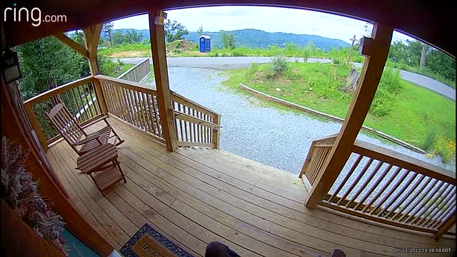 Bear Cubs Wrestle on Front Porch