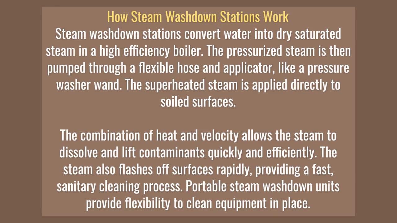 Understanding Steam Washdown Stations