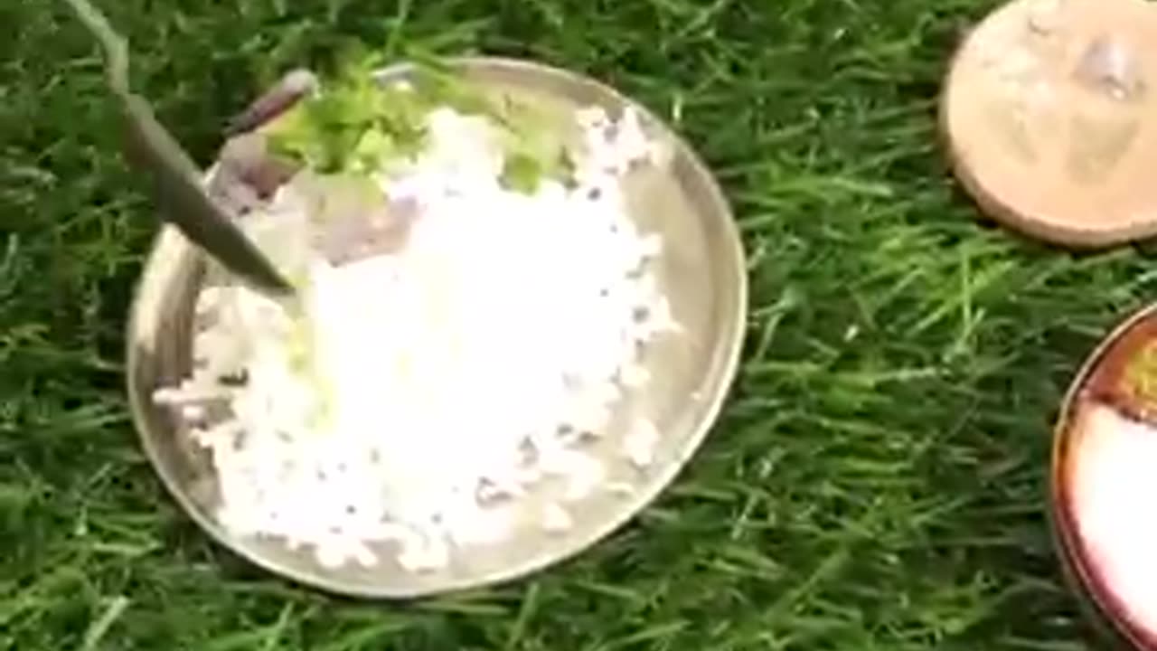| #miniaturecooking #short #shortvideo #tynicooking