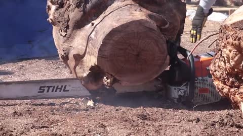 Carving a Rhino From Epoxy Resin & Walnut Burl1