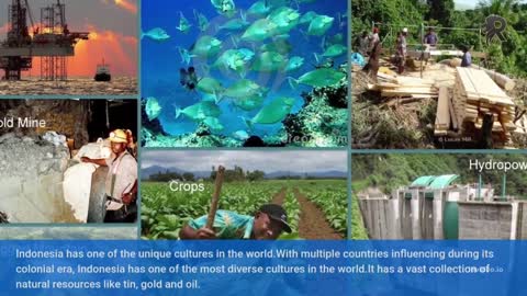 Fun Fact Of Indonesian Country