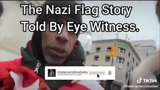 The nazi flag