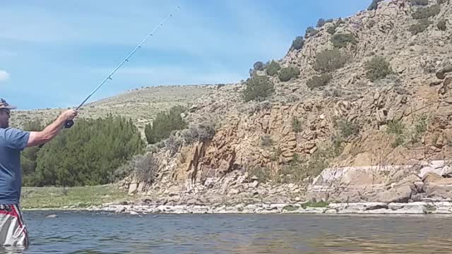 Wyoming Trout