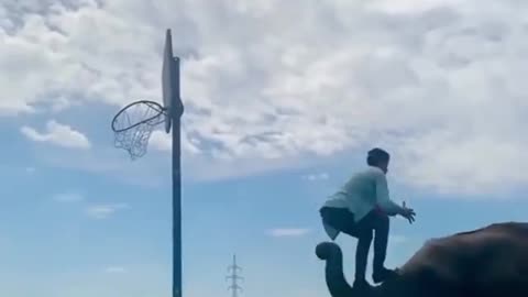 Feed well and play basketball like this
