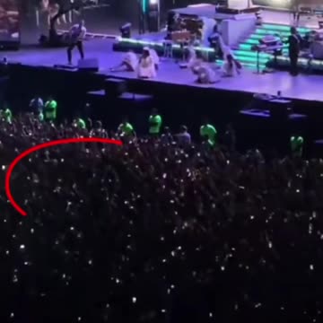 Effetto domino al concerto di Lana del Rey: centinaia di fan cadono a catena