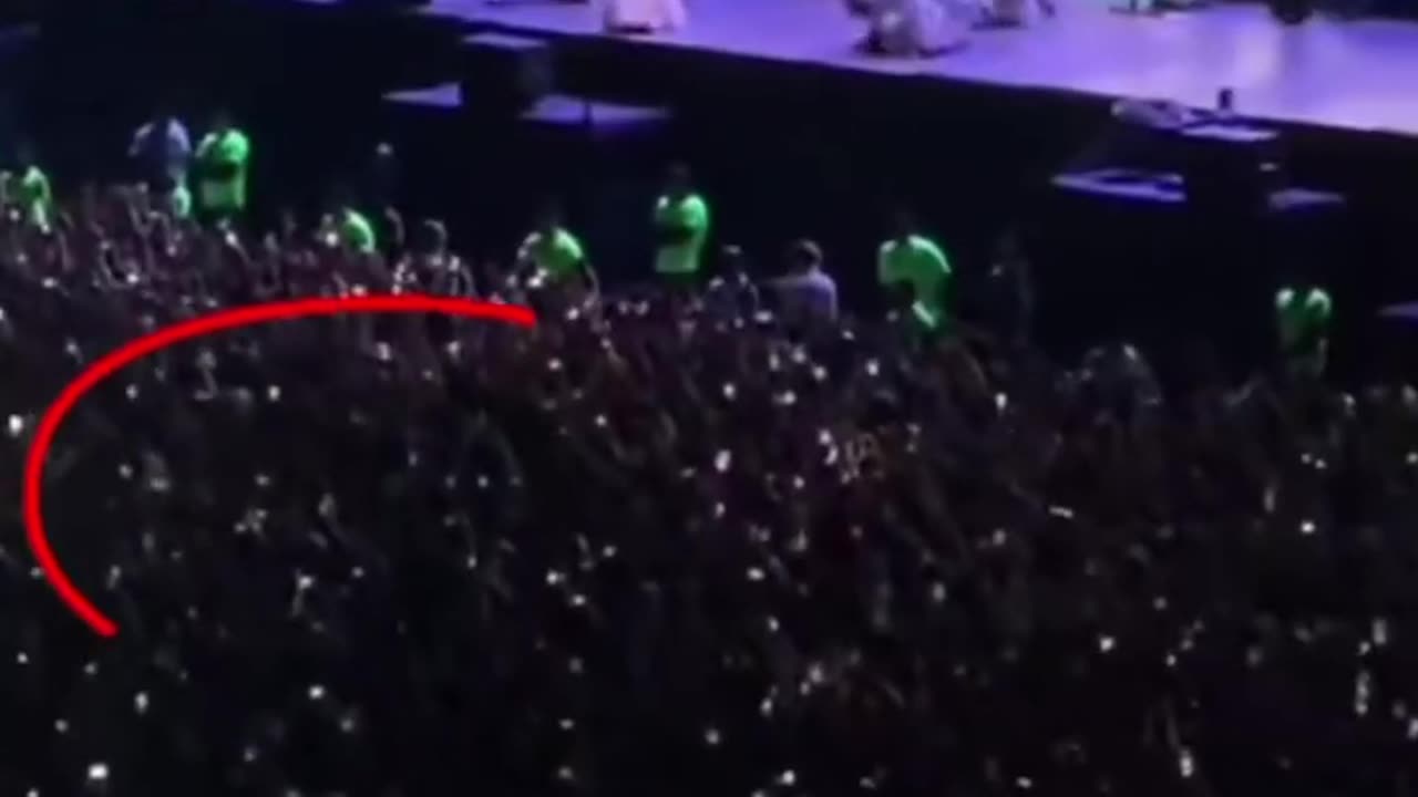 Effetto domino al concerto di Lana del Rey: centinaia di fan cadono a catena