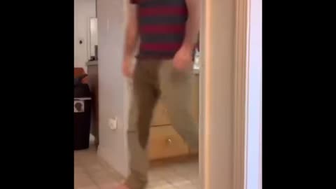 Random Memes 531