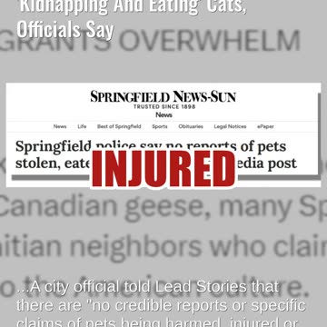 Fact Check: NO Evidence Haitian Immigrants In Springfield, Ohio, Are 'Kidnapping And Eating' Cats