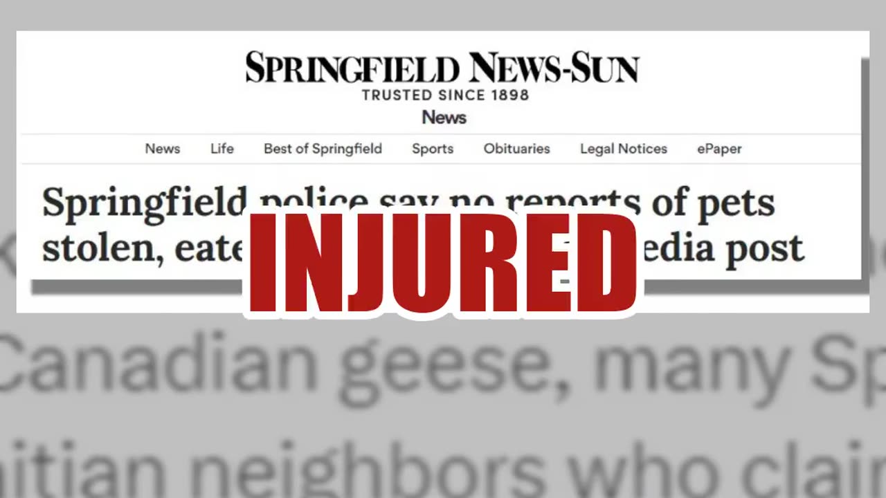 Fact Check: NO Evidence Haitian Immigrants In Springfield, Ohio, Are 'Kidnapping And Eating' Cats