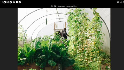 Survival gardening on a Extreme Budget