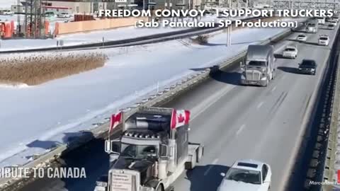 Canadian Truckers Honk Honk