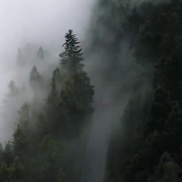 Foggy ride