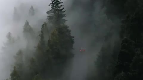 Foggy ride