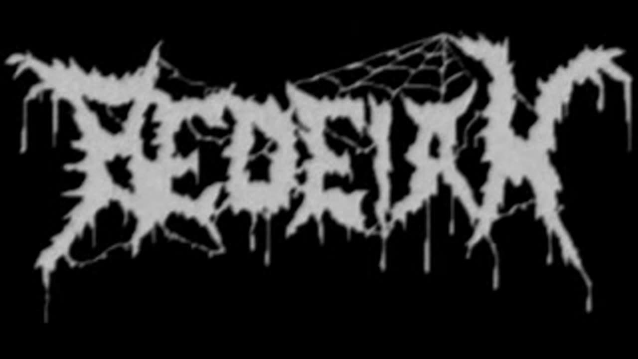 BEDEIAH - Suicidal Lies (Video Lyrics)