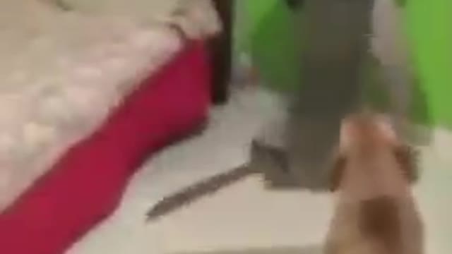 bite and thing of the past