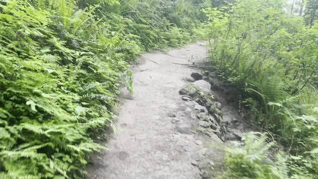 Ascending the Rocky Latourell Falls Loop – Columbia River Gorge – Oregon – 4K