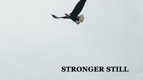 Pray USA, 1/11/23 Stronger Still