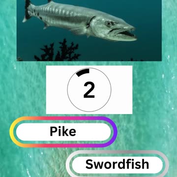 Fish Frenzy 19 A fast-paced quiz