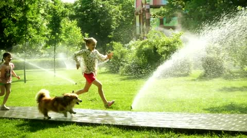 Girls playing with dog in the park