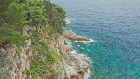 Azure Bird of Adriatic in Croatia