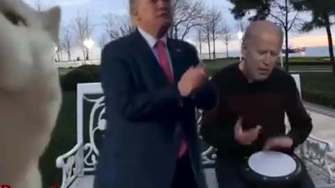 PRESIDENT DONALD TRUMP & JOE BIDEN (funny)