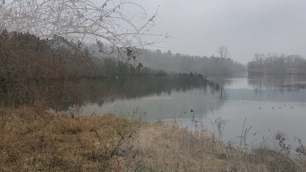 Huron River in Southeast Michigan