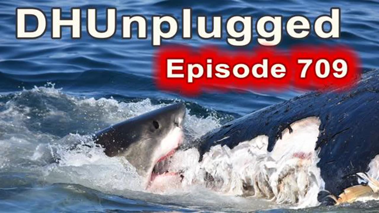 DHUnplugged #709: Blubber Gorging