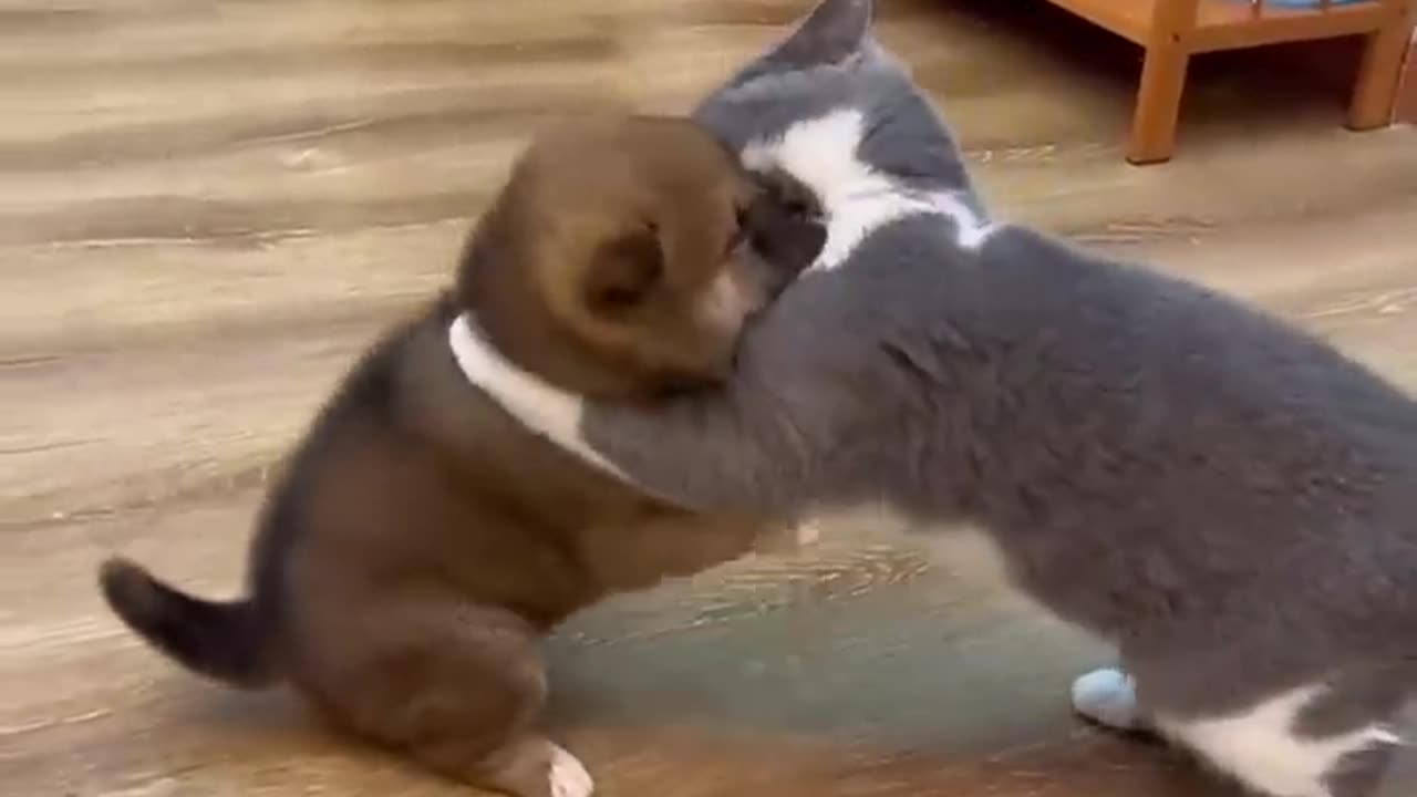 Wait Me Two Months πΆπΊππ