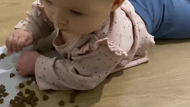 Baby Finds Cat's Food Bowl. Cat Does Not Approve.