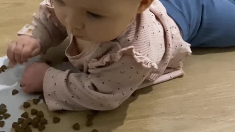 Baby Finds Cat's Food Bowl. Cat Does Not Approve.