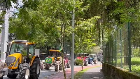 Manifestações Joinville - SC - 12/11/2022