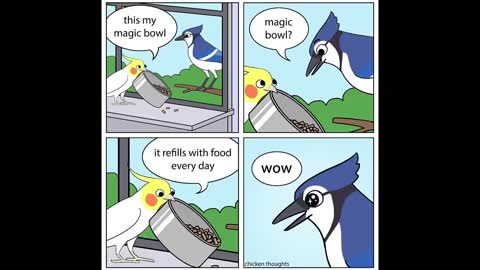Funny Comics With A Parrot Twist