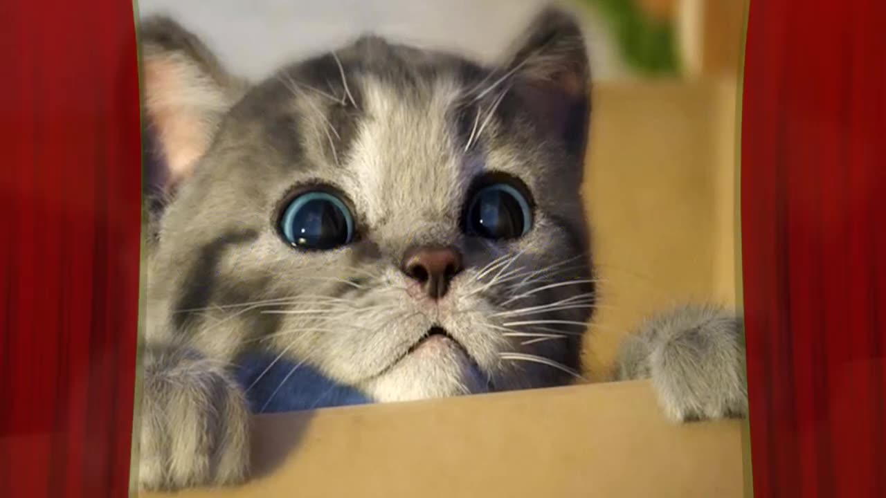 The first part of the BEST ANIMALS MEMES COMPILATION 2021 (TIKTOK FUNNY CATS)