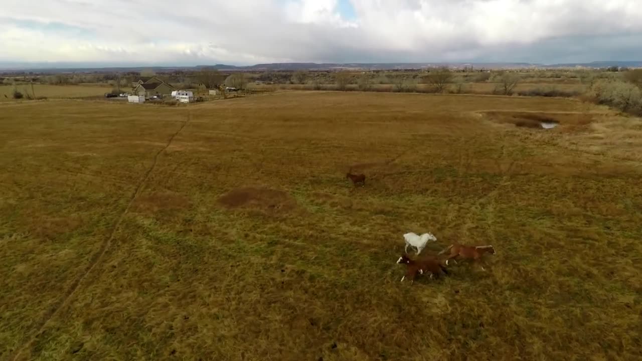 Best Drone shots of 2018