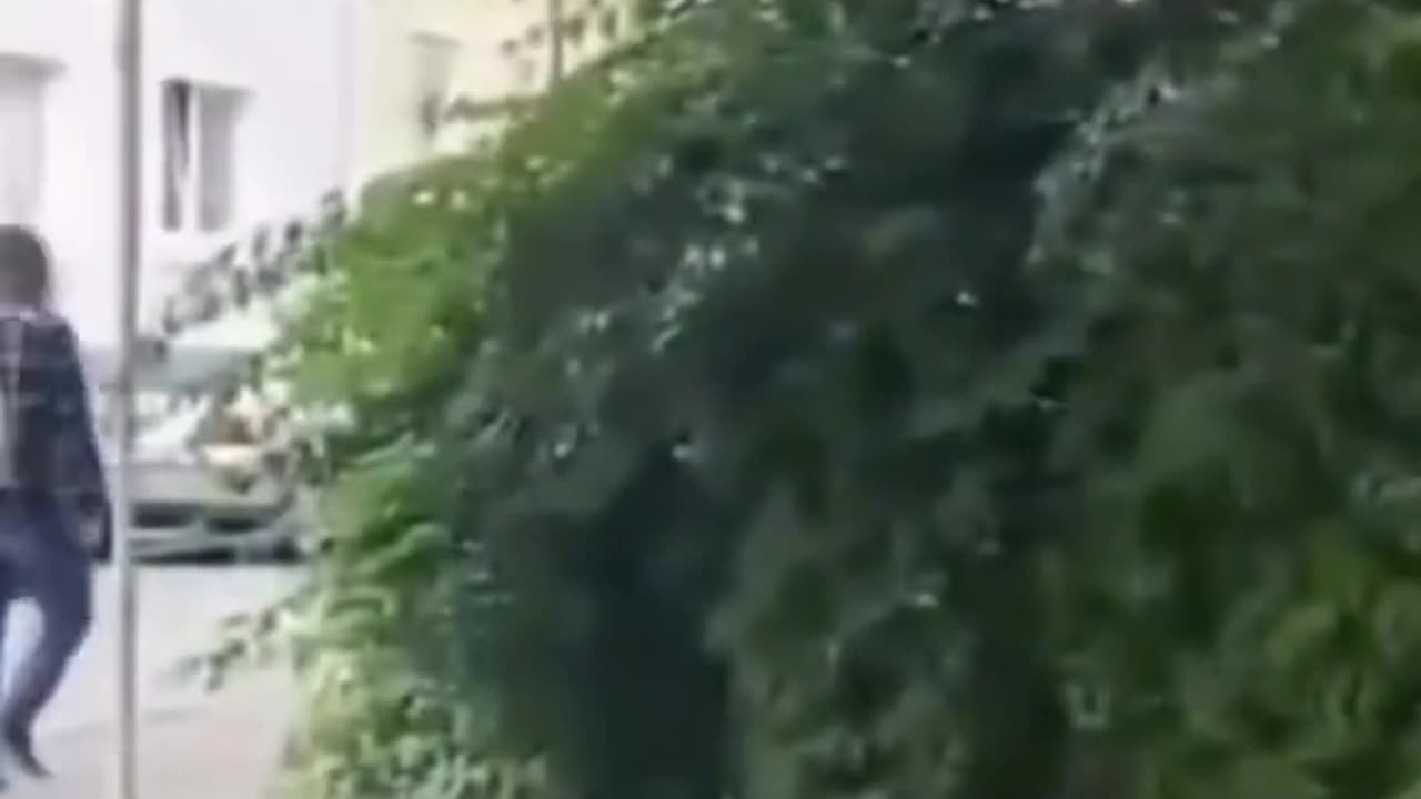 A day without laughter is a day without meaning😅😂😅😂😅😂🤣