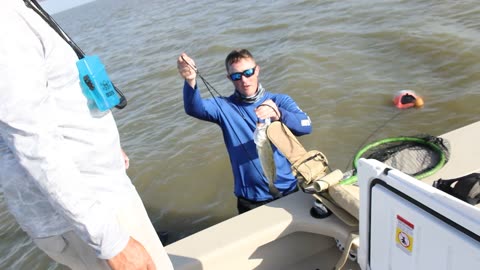 Wade Fishing Matagorda Bay (w/ Capt. Peyton Arrison)